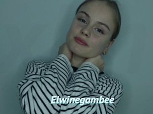 Elwinegambee