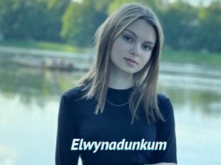Elwynadunkum