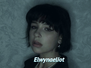 Elwynaeliot
