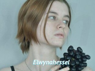 Elwynahessel