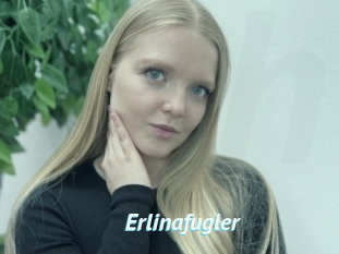 Erlinafugler