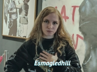 Esmagledhill