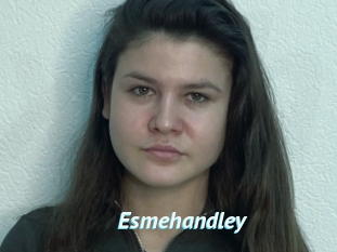 Esmehandley
