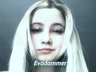 Evadammers