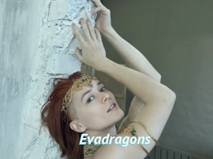 Evadragons