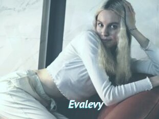 Evalevy