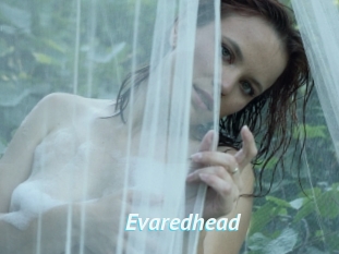 Evaredhead