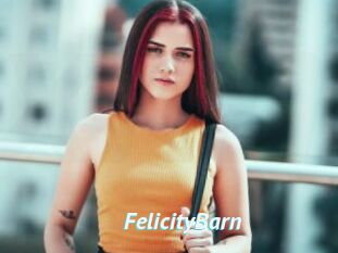 FelicityBarn