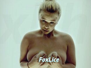 FoxLice