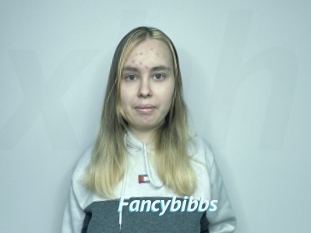 Fancybibbs