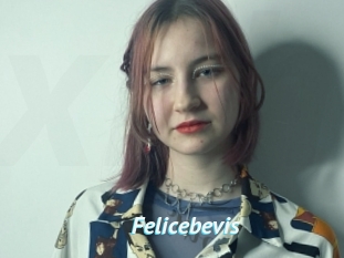 Felicebevis