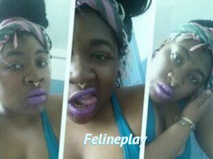 Felineplay