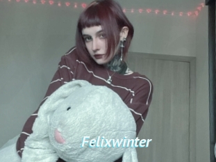 Felixwinter