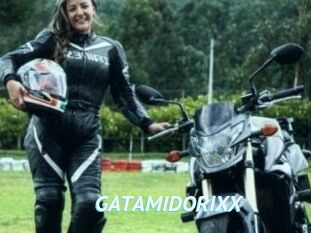 GATAMIDORIXX