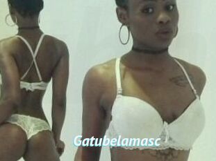 Gatubela_masc