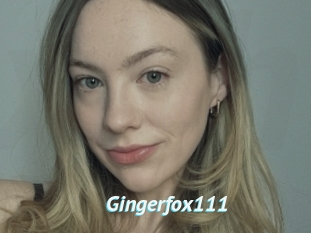Gingerfox111