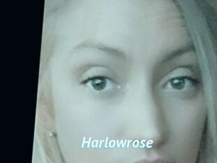 Harlowrose
