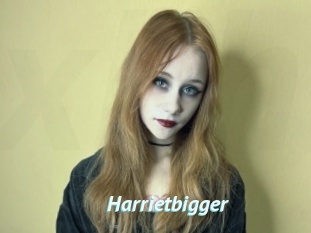 Harrietbigger