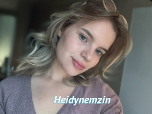 Heidynemzin