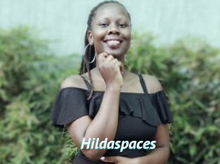 Hildaspaces