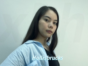 Hollisbrucks