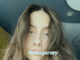Hollisgarney