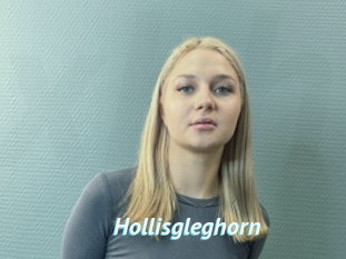 Hollisgleghorn