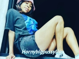 Hornybigpussylips