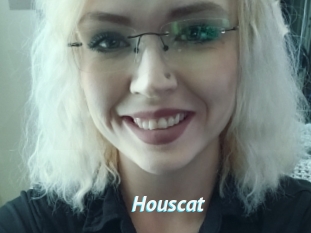 Houscat