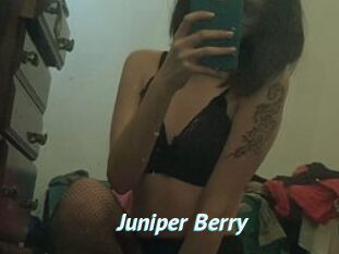 Juniper_Berry