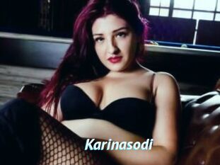 Karinasodi