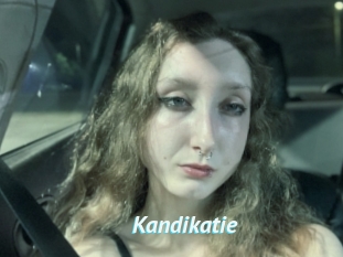Kandikatie