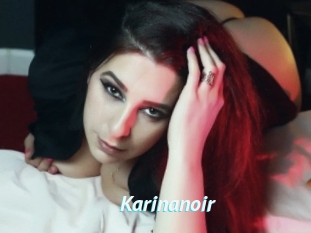 Karinanoir