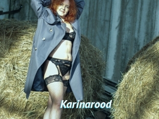 Karinarood