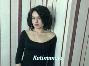 Katinameys