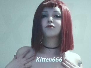 Kitten666