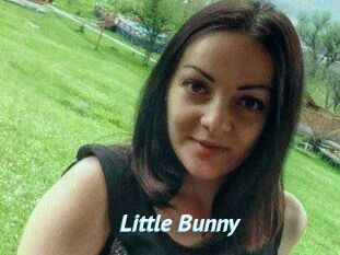 Little_Bunny_