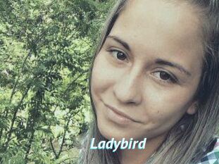 Ladybird