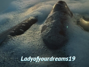 Ladyofyourdreams19