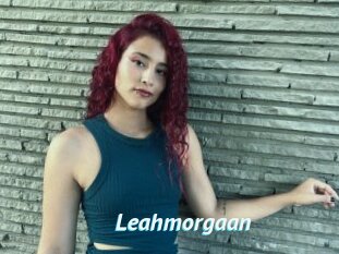 Leahmorgaan