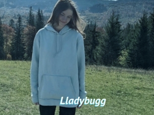 Lladybugg