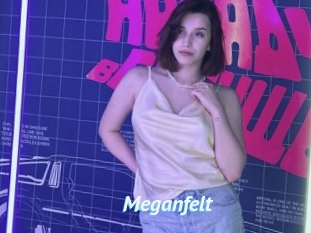 Meganfelt