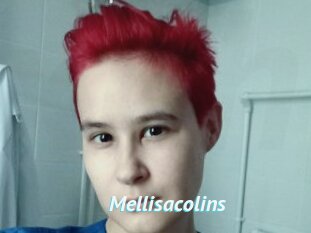 Mellisacolins