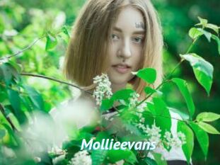 Mollieevans
