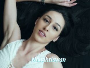 Naughtiswan