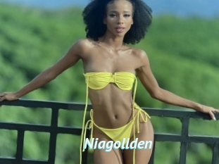 Niagollden