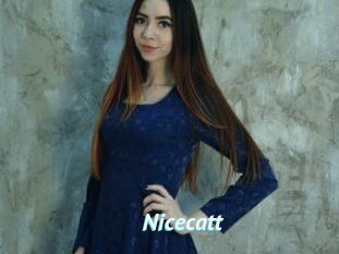 Nicecatt
