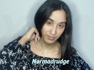 Normadrudge