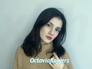 Octaviaflowers