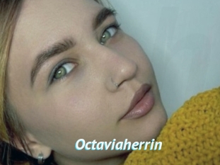 Octaviaherrin
